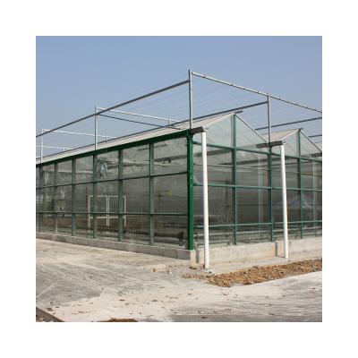 China New Agriculture Listing Large Hydroponic Planting Operation And Practicality Can Be Customized Multi-span Greenhouses for sale