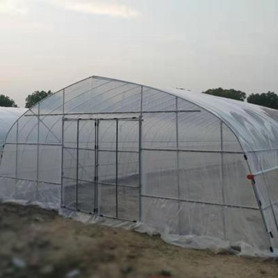 China Stable Structure Easily Assembled Manufacturer High Efficiency Low Cost Commercial Plastic Tunnel Single Span Plastic Sheet Greenhouse for sale