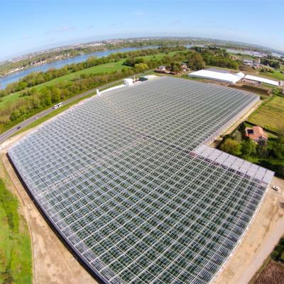 China Agriculture Skyplant Windows Velon Hydroponic Planting Floatable Glass Greenhouse For Cultivating Growth for sale