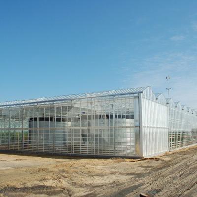 China Hydroponic Planting Agriculture Skyplant Prefab Glass Greenhouse For Agriculture for sale