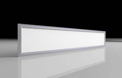 China Wall Mounted LED Slim Panel Light 200x1200mm Backlight C-Tick Approved for sale