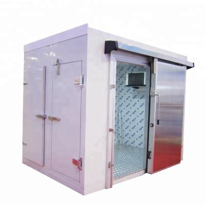 China Blast Freezer Storage Factory Ice Block Cold Room Tomato Cold Storage Room for sale