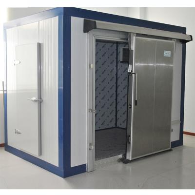 China Negative freezing cold room storage fish room meat blast freezer flesh freezer room for sale