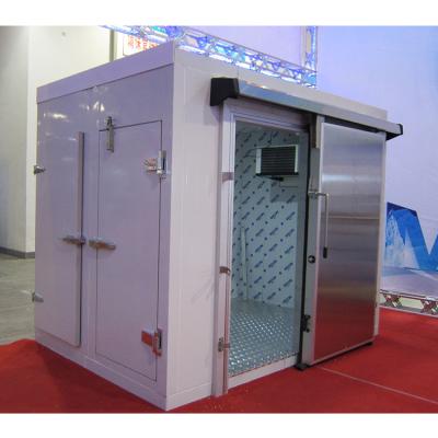 China China Product Hottest Blast Freezer Storage Meat Cold Room For Meat for sale