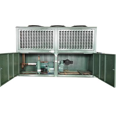 China Refrigeration Parts Cold Room Condensing Unit For Cold Storage for sale