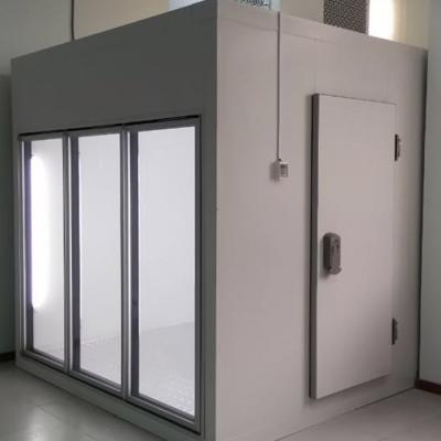 China Heat Preservation Moon Make Glass Door Display Cold Room Cold Room Glass Door for sale