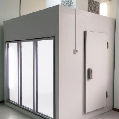 China All Award Winning Products Industrial Cold Room Negative Cold Room for sale