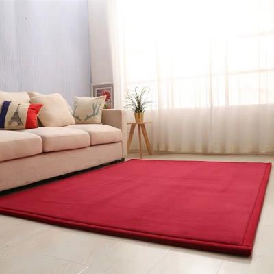 China Modern Promotional Red Foam Kids Shaggy Rugs And Blankets For Living Room for sale