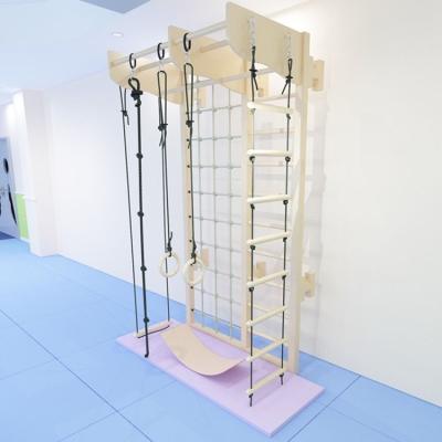 China Exercise Balance Ability Gaining Wooden Gymnasium Children Kids Bars Monkey Wall Ladder Home Workout Sport Calisthenics for sale