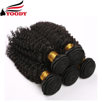 China Wholesale High Quality INDIAN Kinky Curly Hair 8A Curly Curly Wave, Real Mink Virgin Hair for sale