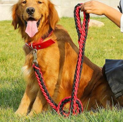 China Deluxe DETACHED Pet Collar and Leash Set Dog Collar Pet Leashes Nylon Custom Rope for sale