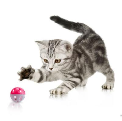 China High Quality Viable Small Cat Toys Interactive Toy Ball Bell Ball Plastic Cat Toys for sale