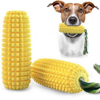 China Amazon Hot Selling Viable Squeak Toy Dog Toys Corn Molar Stick Toothbrush Dog Chew Rope Pet Grinding Toy Dog for sale