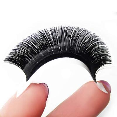 China Wholesale Supplies Thick L Eyelash Extensions Curl Lash Extensions Volume Fans High Quality Vegan Premade for sale