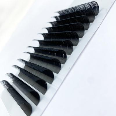 China 25-30 Times 2022 New Style Easy Fan Lashes Synthetic Eyelash Extension Hair Fan Easy Volume for sale