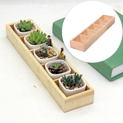 China Modern Succulent Planting Wooden Box Tray Rectangle Container Small Flowerpot 5 Grid Planter Flower Pot for sale