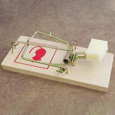 China Wholesale Disposable Reusable Wooden Mice Traps Baits Garden Supplies Mice Killer Pest Control Clamshell Mousetraps for sale