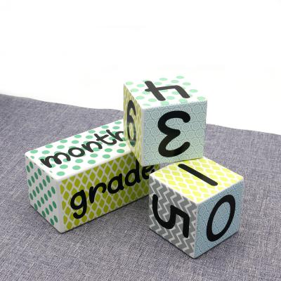 China Custom Baby Wooden Milestone Blocks DIY Big Wooden Block for sale