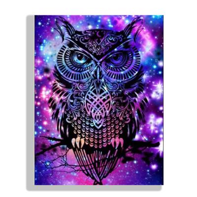 China Realistic JS Color Owl Diamond Painting for sale