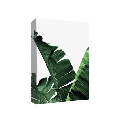 China JS Modern Modern Wall Art Tropical Leaf 3 Panels Painting Art Prints Poster Printed Canvas With Mounted Hook for sale