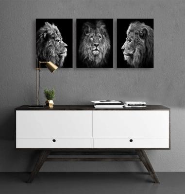 China JS Muolunna Modern Wall Art Black And White Lion Head Portrait Wall Art Painting Pictures Prints 3 Pieces Canvas Animal For Bedroom for sale