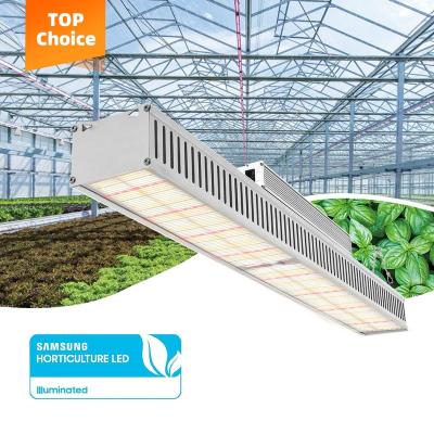 China Seed Starting New Sunplus Greenhouse Full Spectrum High Spectrum Ppfd 600W Lm301H Extra Lead Slim Horticulture Grow Light Led Bar for sale