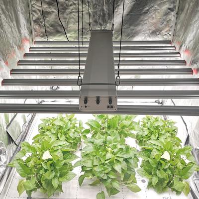 China Seed starting best hot sale grow led light 8 bar factory production led hydroponic grow system supplier in China for sale