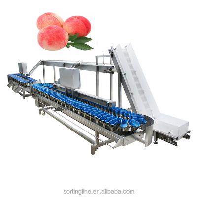 China Snack Plant Fruit Fruit Sorter CE and ISO Approved Fruit Grading Machine Kiwi Orange Food Grading Machine for sale