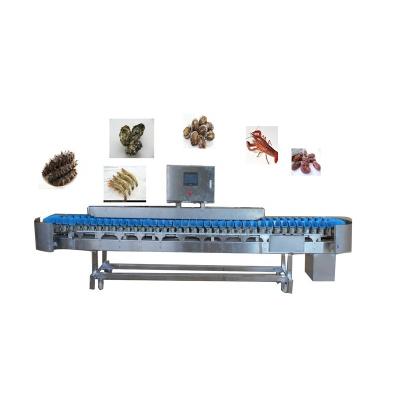 China Vegetable Processing Plant Vegetable and Fruit Grading Sorter Weight Sorter Pear Sorter for sale