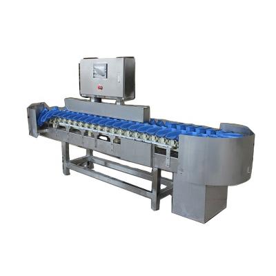 China Vegetable Processing Plant Grading Sorter Weight Sorter Chicken /chicken leg /Turkey Sorter for sale