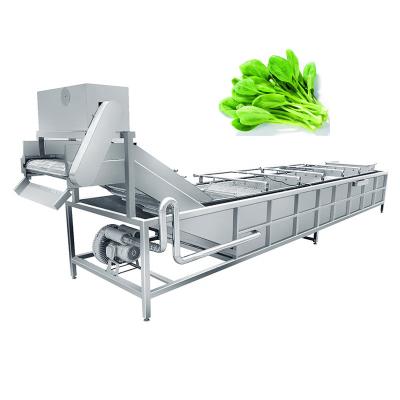 China High Efficiency Leaf Vegetable Bubble Washing Machine Spinach Washing Machine for sale