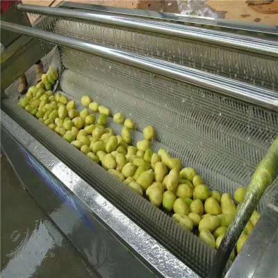 China Easy Operation China Made Cheap Price Industrial Fruit And Vegetable Washing And Drying Machine for sale