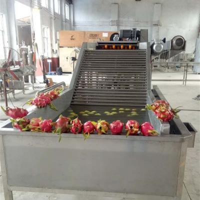 China High Efficiency Easy Operate Fruit And Vegetable Cleaning And Spray Tubing Pitaya Fruit Bubble Washing Machine for sale