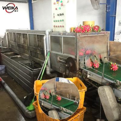 China Automatic Dragon Fruit Sorting Washing Machine Screen Touch Fruit Processing Machine for sale