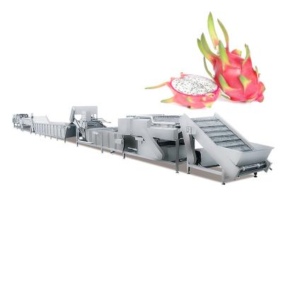 China High Efficiency Easy Operate Professional Dragon Fruit Washing Drying Packing Machine Pitaya Processing Machine for sale