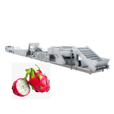 China High Efficiency Easy Operate Cheap Price Fruits And Vegetables Washing Spray Tubing Pitaya Washing Drying Packing Machine for sale