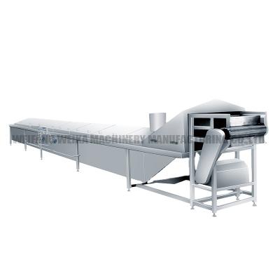 China High Efficiency China Made Steam Food Processing Fresh Food Vegetable Fruit Blanching Machine for sale