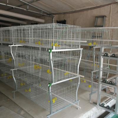 China Farms POULTRY AID Poultry Chicken Broiler Farm Equipment Broiler Automatic Breeding Battery Cage for sale