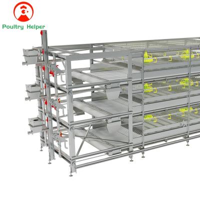 China AID H Type Automatic Layer Cage System Animal Husbandry Equipment Poultry Farms POULTRY Equipment for sale