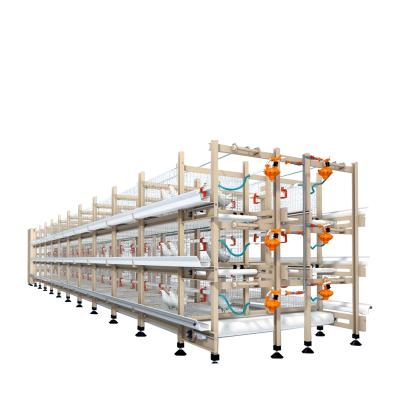 China Wholesale Automatic System Battery Broiler Poultry Field POULTRY AID Plant Broiler Poultry Farming Equipment H Type Cage for sale