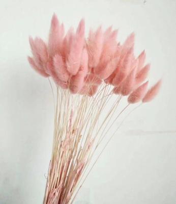 China Fashional Gift New Product Decoration Dry Bunny Tail Lagurus Flower Bouquet for sale