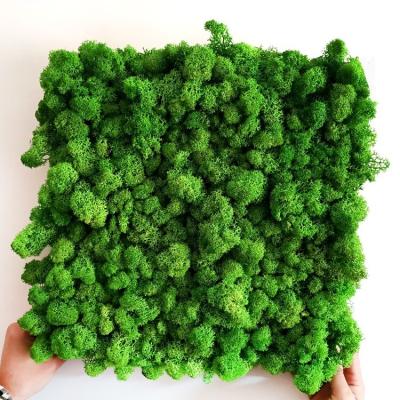 China Wholesale Minimalist Artificial Mat Grass Wall Decoration Artificial Balls Panel Stabilize Moss for sale