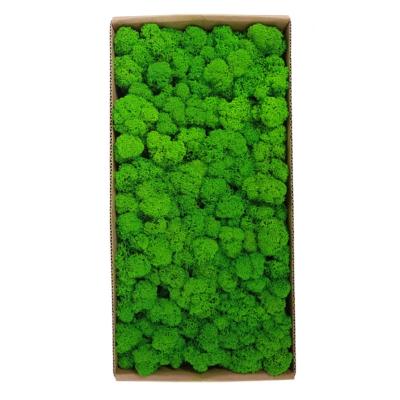 China Large Reindeer Jual Minimalist Green Panel Preserved Immortal Ball Real Moss Wall Decorative Home Decor for sale