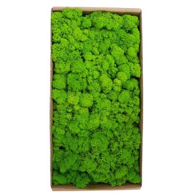 China Minimalist Customized Wall Frame Display Decoration Round Deco Art High Quality Low Price Custom Artificial Preserved Moss Panel for sale