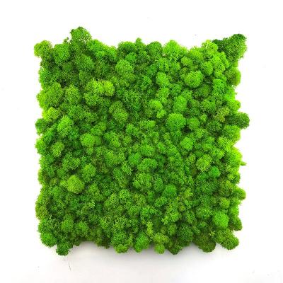 China Best Wholesale High Quality Minimalist Low Price Preserved Panels Natural Green Reindeer Mat Moss Wall Decor for sale