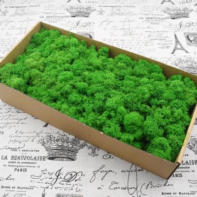 China Outdoor Christmas Moss Balls For Decor Bulk Selling Reindeer Panel Indoor Minimalist Panel Home Decor for sale