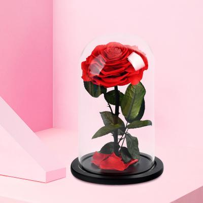 China Valentine's Day Fast Delivery Artificial Dome Led Rose Flower In Glass Forever Enchanted With Gifts for sale