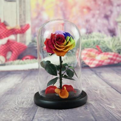 China Wholesale Cheap Valentine's Day Preserve A Flower Dom Valentines Day Gift Mini Rainbow Box 2 Heads Preserved Rose In Glass Dome for sale