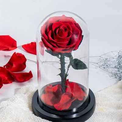 China Valentine's Day Selling Eternal Prince Preserved Rose In Glass Good Price Dome Dry Real Small And Flowers 2 Heads for sale