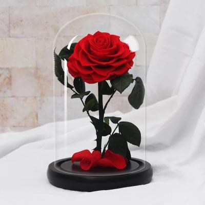 China True Valentine's Day New Product Rose In Little Prince Glass Dome For Preserved Flower Display for sale